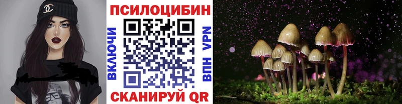 где найти наркотики  Таштагол  Галлюциногенные грибы GOLDEN TEACHER 